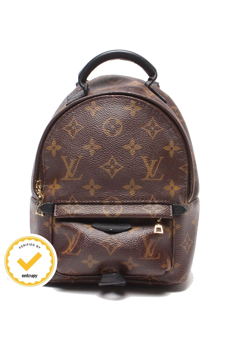 Louis Vuitton Backpack Palm Springs Mini Monogram